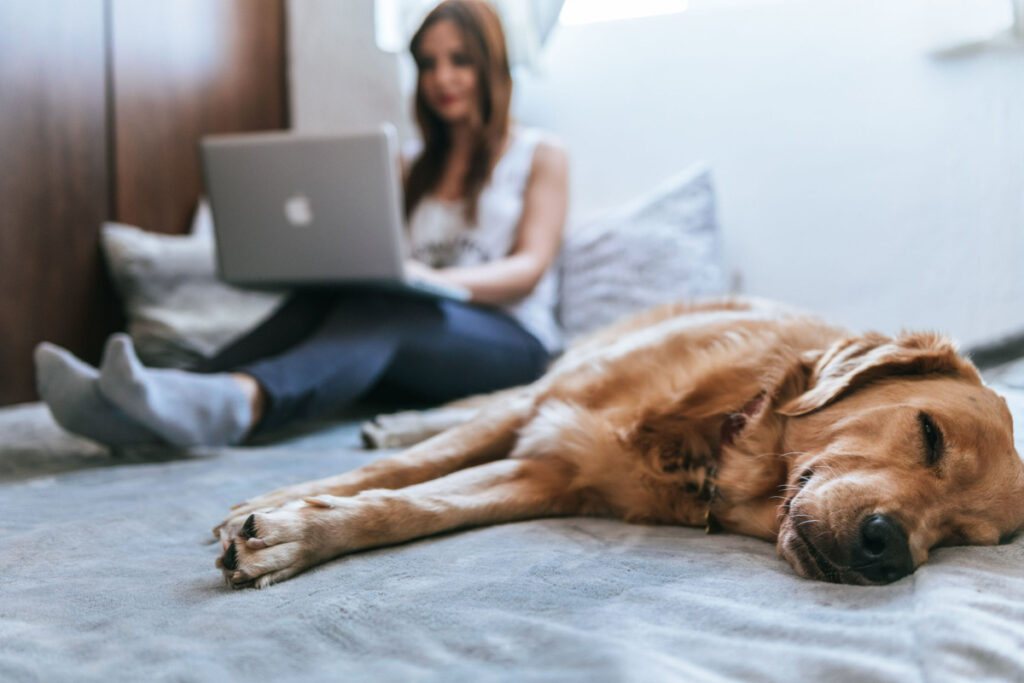 Search frequency rank is the key to your brand analytics search