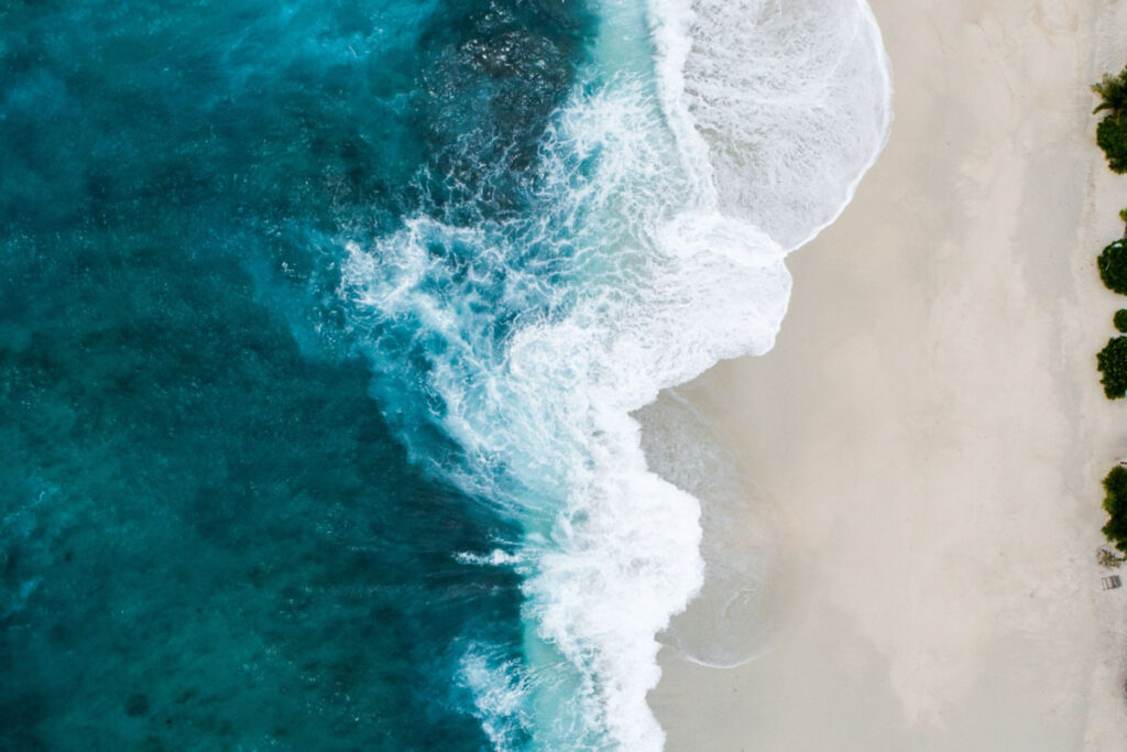 Become your own blue ocean